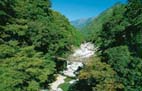 かずら橋 かずら橋
