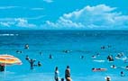 田井の浜海水浴場 田井の浜海水浴場