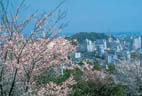 徳島市街(眉山山頂より) 徳島市街(眉山山頂より)