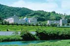 文化の森総合公園 文化の森総合公園