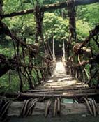 祖谷のかずら橋 祖谷のかずら橋