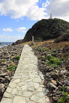 蒲生田岬の灯台に進む歩道 蒲生田岬の灯台に進む歩道