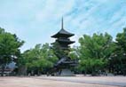 善通寺 善通寺