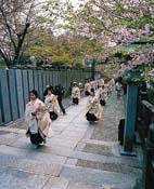 金刀比羅宮(桜花祭) 金刀比羅宮(桜花祭)