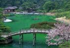 栗林公園(春) 栗林公園(春)