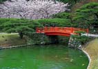 栗林公園(梅林橋) 栗林公園(梅林橋)