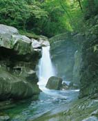 面河渓 面河渓