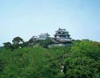 松山城U 松山城U