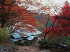 西山興隆寺(紅葉) 西山興隆寺(紅葉)
