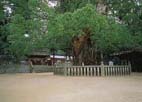 大山 神社 大山 神社