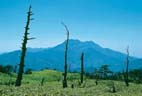 瓶ケ森から石鎚山を望む 瓶ケ森から石鎚山を望む