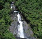 轟の滝 轟の滝