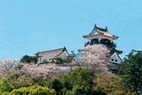 高知城 高知城