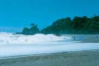 桂浜 桂浜