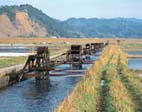 四ヶ村溝の水車 四ヶ村溝の水車