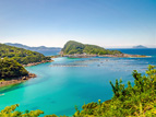 柏島 柏島