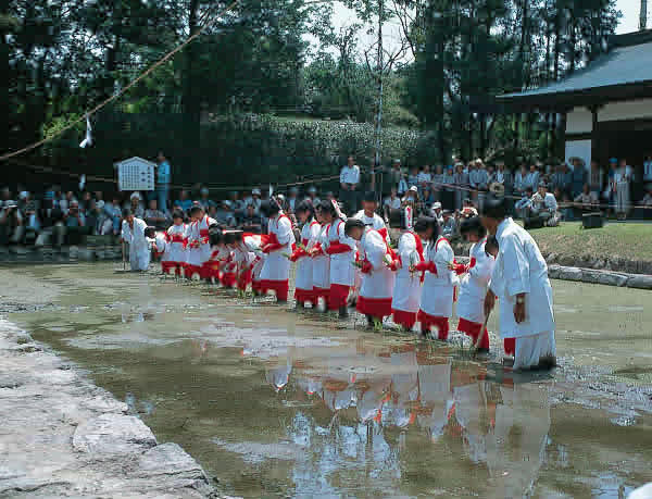 大山　神社御田植祭